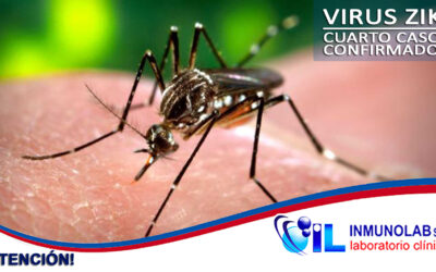 Ministerio de salud confirma cuatro casos de Zika en Santa Cruz